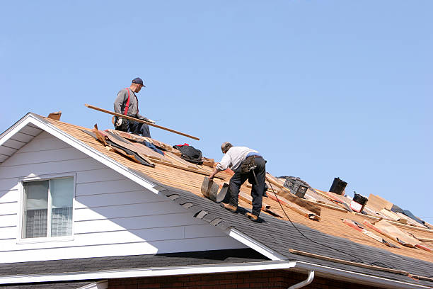 Best Roof Leak Repair  in Dolan Springs, AZ