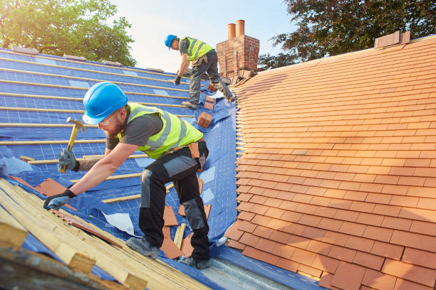 Best Asphalt Shingle Roofing  in Dolan Springs, AZ